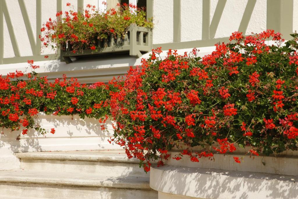 Manoir De Benerville Bed & Breakfast โดวีลล์ ภายนอก รูปภาพ